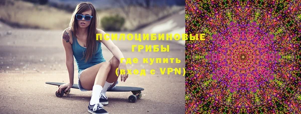mdpv Дмитриев