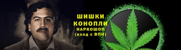 дурь Дмитров