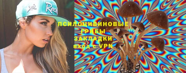 скорость Ельня