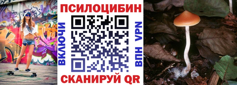 нарко площадка Telegram  где купить наркотик  Зарайск  Псилоцибиновые грибы MAGIC MUSHROOMS 